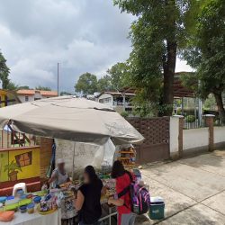 Dra. Brenda Guillermina MartÍnez GutiÉrrez, Dentista - Odontólogo