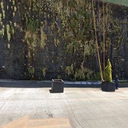 Dra. Catalina Cortés | Ortodoncia Y Estética Dental | Invisalign Doctor