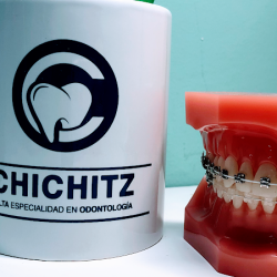 Dra Chichitz- Alta Especialidad En Odontología