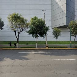 Dra. Christian Alvarez Nolasco, Dentista - Odontólogo