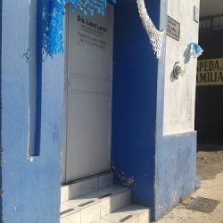 Dra. Dentista Laura Larios