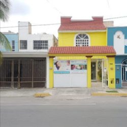 Dra. Fabiola Basurto, Dentista - Odontólogo
