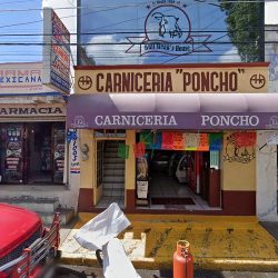 Dra. Gabriela Velazquez Piña