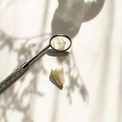 Dra. Irma Sánchez Carbajal, Dentista - Odontólogo