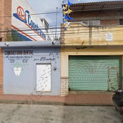 Dra. Isvi Aurora Santoyo Tena, Dentista - Odontólogo