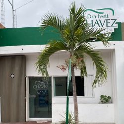 Dra. Ivett Chavez Clínica Dental Tecoman