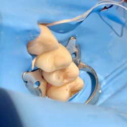 Dra. Katia Alejandro| Dental K