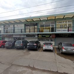 Dra. Kristell Guadalupe Bajo López, Dentista - Odontólogo