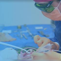 Dra. Laura Anguiano Flores Periodoncia & Terapia Láser En León, Gto