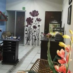 Dra. María Del Socorro Denis Rodríguez, Dentista - Odontólogo