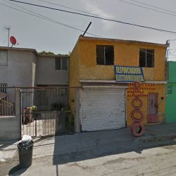 Dra. María Teresa Madero Ibarra, Dentista - Odontólogo