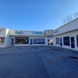 Dra. Marisol Cano/dentista