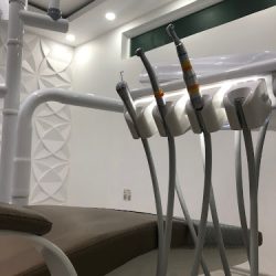 Dra. Mirella Castro -endodoncista