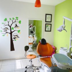 Dra. Mirely Peralta Rodríguez, Dentista - Odontólogo