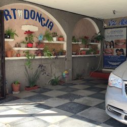 Dra. Monica Magaña