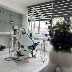 Dra. Monserrat Gallegos Maldonado, Dentista - Odontólogo