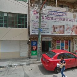 Dra. N. Arcelia Torres Vidales