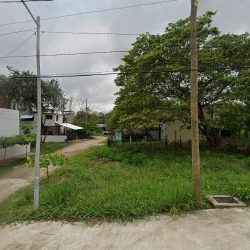 Dra. Nayeli Castillo González