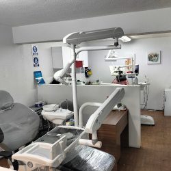 Dra. Paola Pedral, Dentista - Odontólogo
