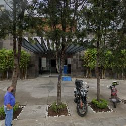 Dra. Paola Reyes