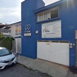 Dra Sheira Rivera Rocha, Dentista - Odontólogo