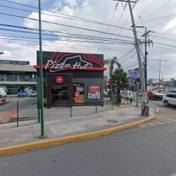 Dra. Silvia A. Domínguez Cárdenas