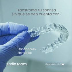 Dra. Silvia Briseño, Dentista - Odontólogo