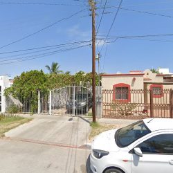 Dra. Silvia Valdos Rojas