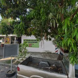 Negocio Dra Teresa Del Rocio Solis