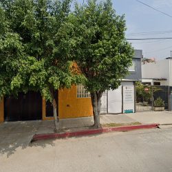 Dra. Valeria Zepeda Velarde, Dentista - Odontólogo