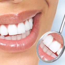 Dra. Verónica Méndez H. Especialidades Dentales - Dentista Y Ortodoncista En Las Americas, Ecatepec.