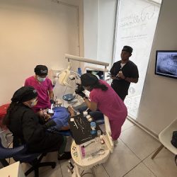 Dra. Vivian Araujo Cornejo, Dentista - Odontólogo