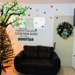 Ecodent - Consultorio Dental