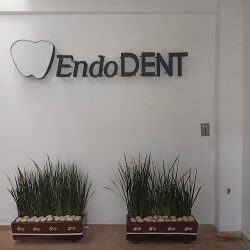 Endodent