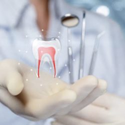 Endodoncia Dra. Alejandra De La Torre
