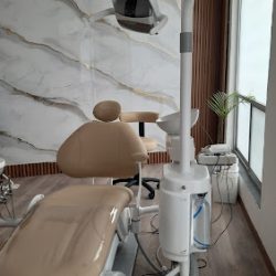 Negocio Endodoncia - Dra. Luz Angélica Rodriguez Mtz- Dentista