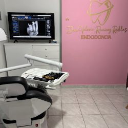 Endodoncia Dra Valeria Rmz Robles