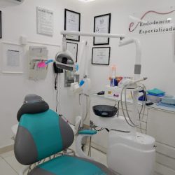 Endodoncia Especializada Dra María Fernanda García Oliva