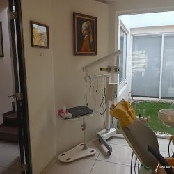 Endodoncia & Salud Bucodental