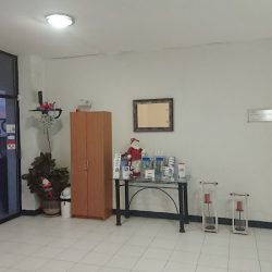 Endodoncista
