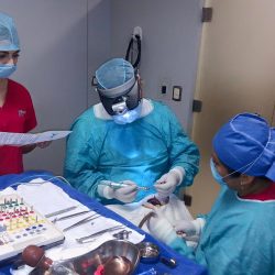 Endodontik Oficina Dental