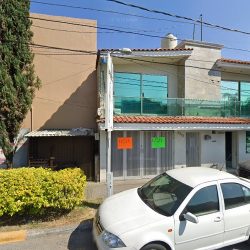 Especialidad Dentista Ortodoncia