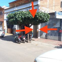Especialidades Médicas Alameda
