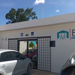 Especialidades Médicas Dzitbalché