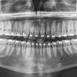 Especialista En Ortodoncia Y Ortopedia Dentomaxilar