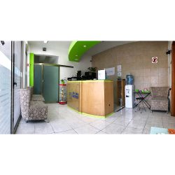 Estética Dental Carmen