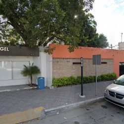 Estètica Dental