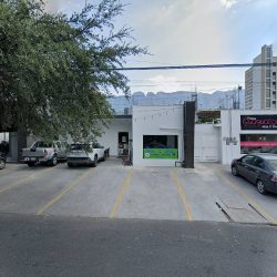 Esthela Flores González Dentista San Pedro Garza García
