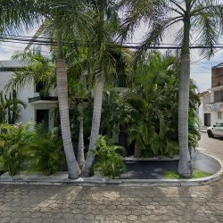 Negocio Excelencia Dental