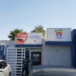 Expresión Dental
